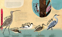 Dara McAnulty: A Wild Child's Book of Birds, illustrated by Barry Falls - Tales for Tadpoles
