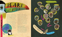 Dara McAnulty: A Wild Child's Book of Birds, illustrated by Barry Falls - Tales for Tadpoles