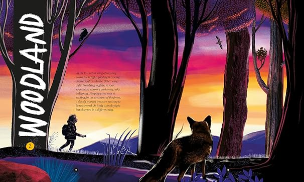 Dara McAnulty: A Wild Child's Guide To Nature At Night, illustrated by Barry Falls - Tales for Tadpoles