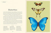 Dave Goulson: Insectarium, illustrated by Emily Carter - Tales for Tadpoles