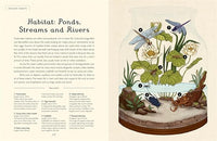Dave Goulson: Insectarium, illustrated by Emily Carter - Tales for Tadpoles