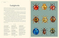 Dave Goulson: Insectarium, illustrated by Emily Carter - Tales for Tadpoles