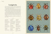 Dave Goulson: Insectarium, illustrated by Emily Carter - Tales for Tadpoles