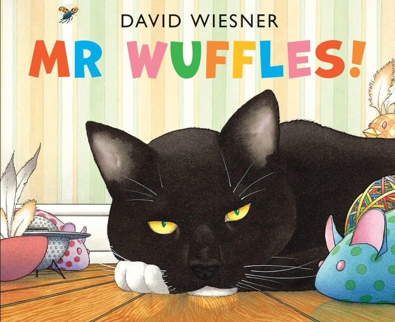 David Wiesner: Mr Wuffles - Tales for Tadpoles