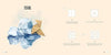 Denis Guillaume: Easy Origami Animals - Tales for Tadpoles