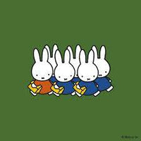 Dick Bruna: Miffy's Treasury - Tales for Tadpoles