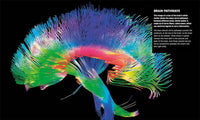 DK: Knowledge Encyclopedia Human Body! - Tales for Tadpoles