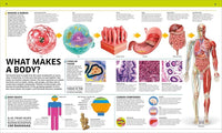DK: Knowledge Encyclopedia Human Body! - Tales for Tadpoles