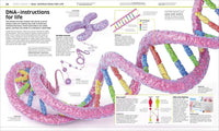 DK: Knowledge Encyclopedia Human Body! - Tales for Tadpoles