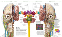 DK: Knowledge Encyclopedia Human Body! - Tales for Tadpoles