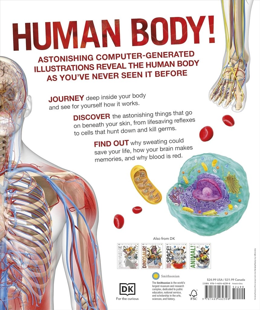 DK: Knowledge Encyclopedia Human Body! - Tales for Tadpoles