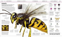 DK: Knowledge Encyclopedia: The World As You've Never Seen it Before - Tales for Tadpoles