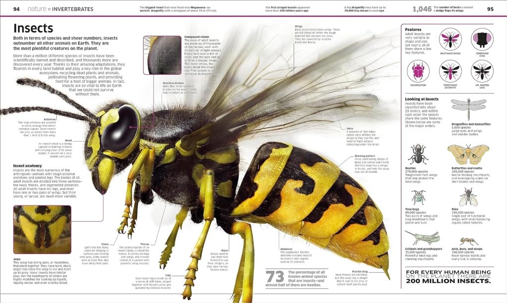 DK: Knowledge Encyclopedia: The World As You've Never Seen it Before - Tales for Tadpoles
