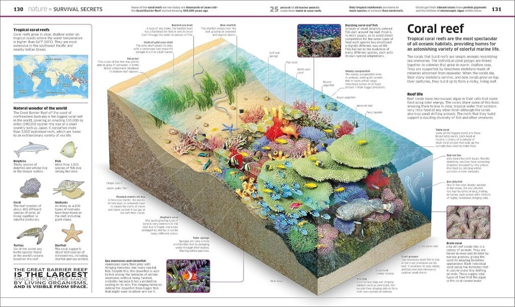 DK: Knowledge Encyclopedia: The World As You've Never Seen it Before - Tales for Tadpoles
