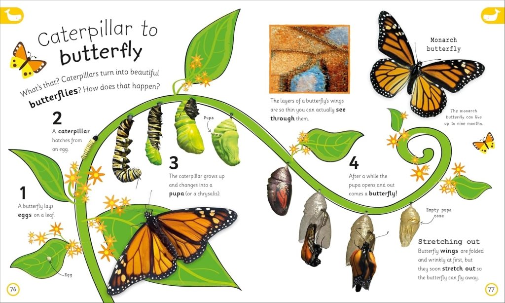 DK: My Encyclopedia of Very Important Things: For Little Learners Who Want to Know Everything - Tales for Tadpoles
