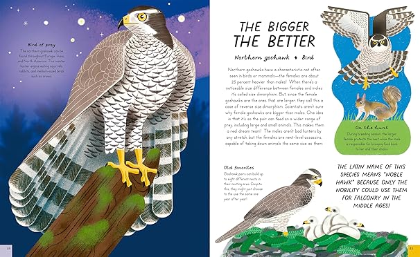 Dr Carly Anne York: Queens of the Jungle, illustrated by Kimberlie Clinthorne Wong - Tales for Tadpoles
