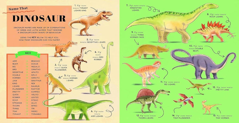 Dr. Gareth Moore: Name That Thing! illustrated by Ryan O'Rourke - Tales for Tadpoles