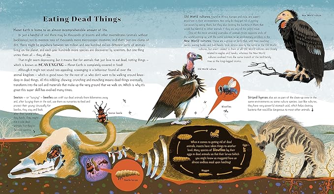 Dr. Nick Crumpton: Animal Super Powers, illustrated by Viola Wang - Tales for Tadpoles