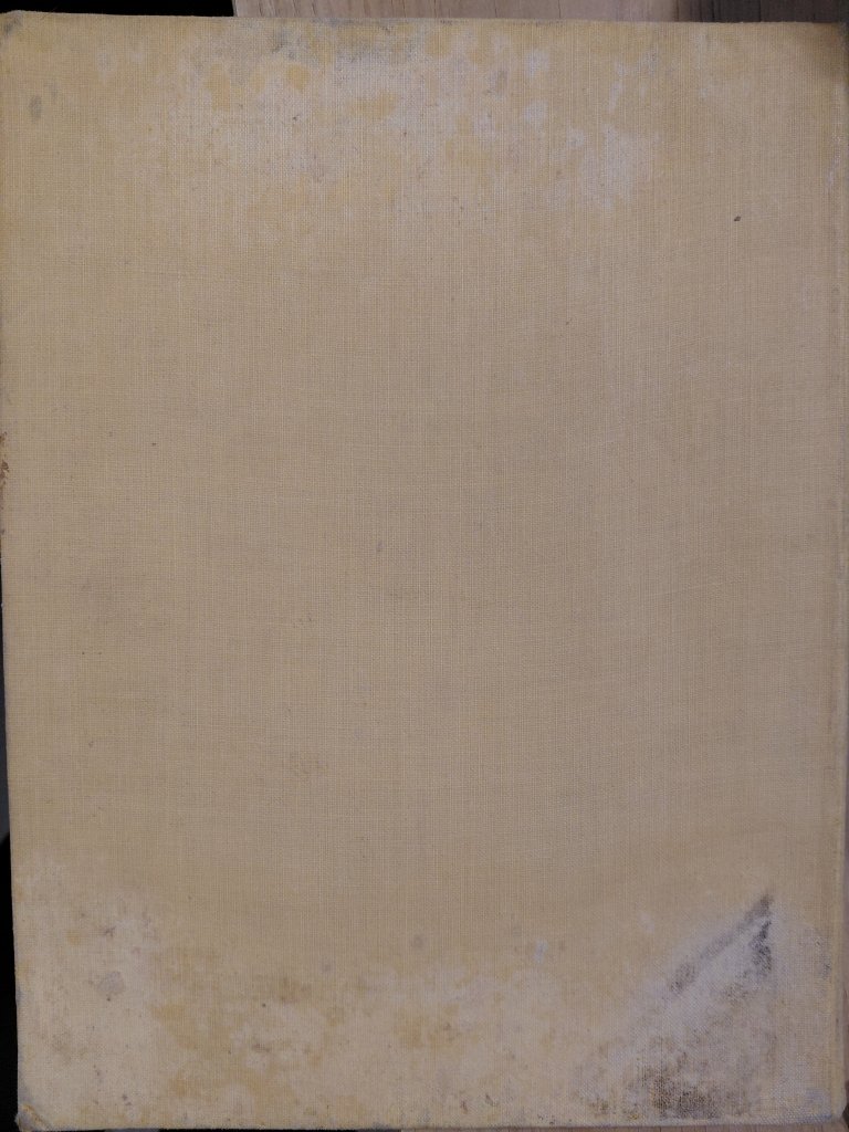 Edmund Dulac Picture-Book for the French Red Cross - Tales for Tadpoles