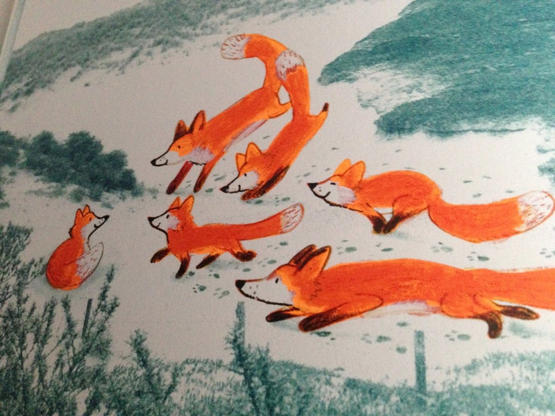 Edward Van De Vendel: Little Fox, illustrated by Marije Tolman - Tales for Tadpoles