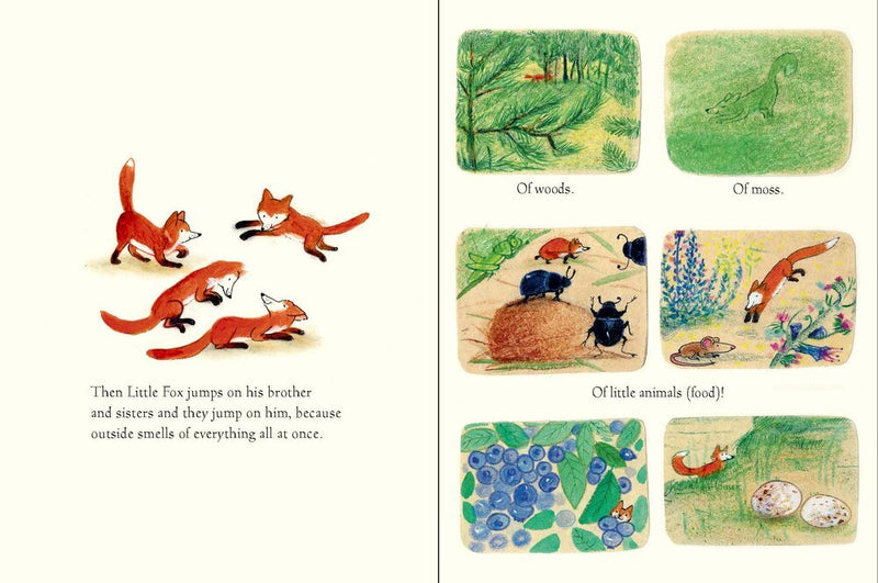 Edward Van De Vendel: Little Fox, illustrated by Marije Tolman - Tales for Tadpoles