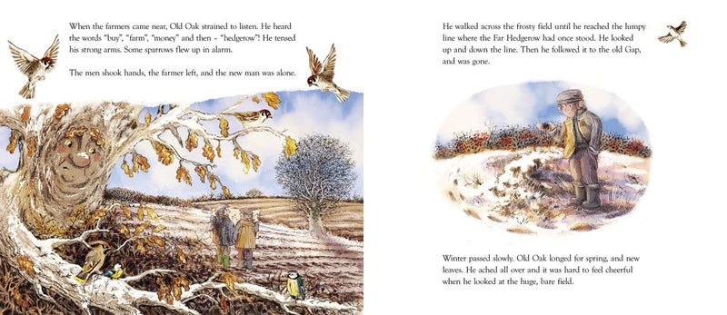 Elena Mannion: The Happy Hedgerow, illustrated by Erin Brown - Tales for Tadpoles