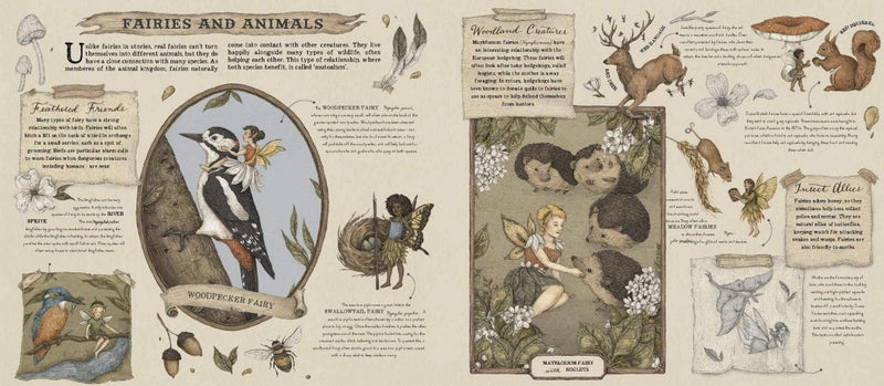 Emily Hawkins: A Natural History of Fairies, illustrated by Jessica Roux - Tales for Tadpoles