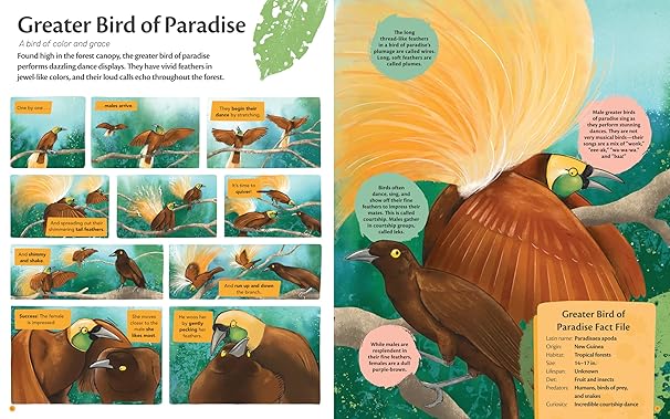 Fiona Fogg: Curious Features Of Extraordinary Creatures - Tales for Tadpoles