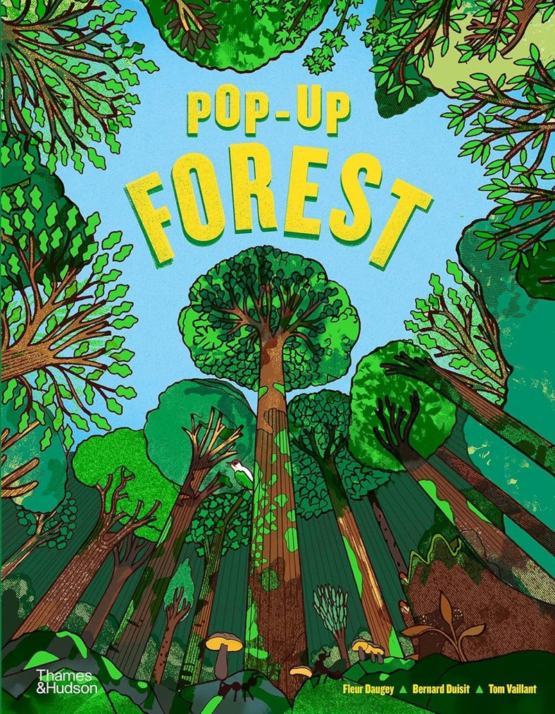 Fleur Daugey: Pop - Up Forest, illustrated by Bernard Duisit and Tom Vaillant - Tales for Tadpoles