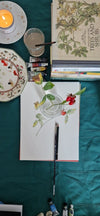 Friday 19th Sept 7pm: Nature Drawing with Enagh Farrell - Tales for Tadpoles