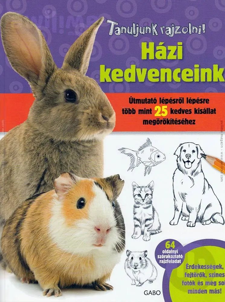 Gabo: Tanuljunk Rajzolni! Hazi Kedvenceink - Tales for Tadpoles