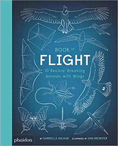 Gabrielle Balkan: Book of Flight, 10 Record - Breaking Animals with Wings, illustrated by Sam Brewster - Tales for Tadpoles