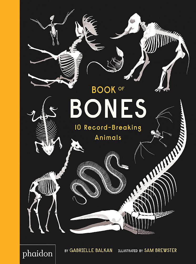 Gabrielle Balkan: The Book of Bones, illustrated by Sam Brewster - Tales for Tadpoles