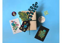 Gift Decoration Set: Mysterious Nature - Tales for Tadpoles