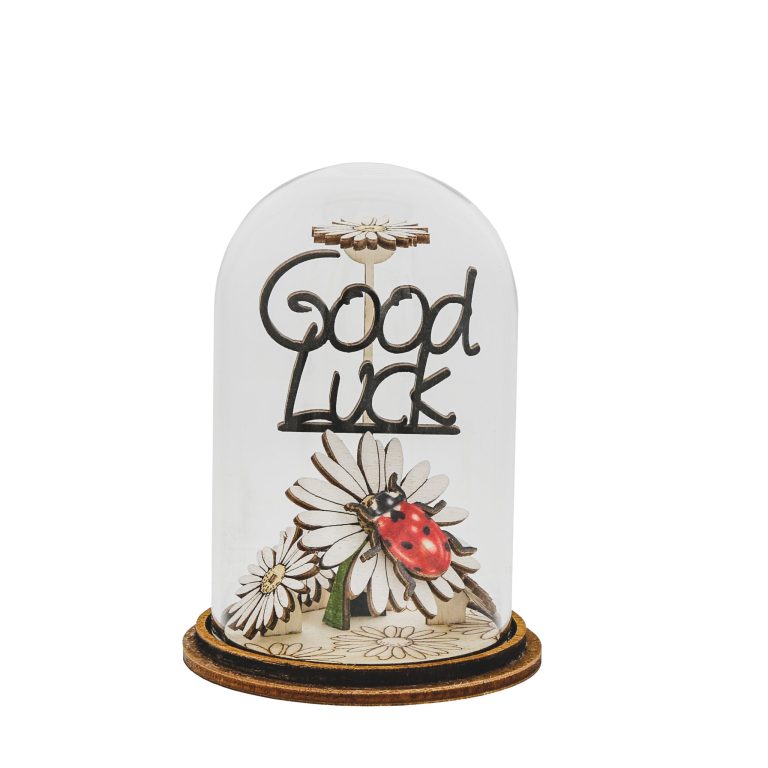 Glass Decoration: Good Luck (Dome) - Tales for Tadpoles