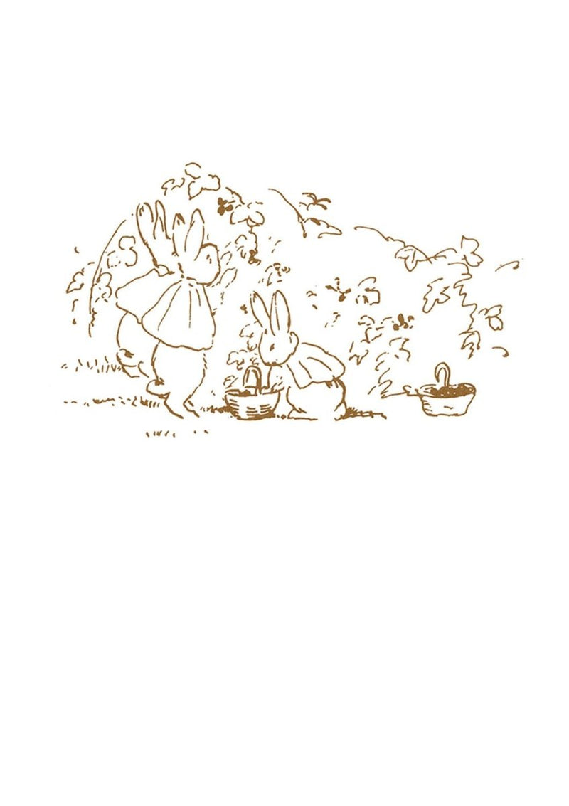 Greeting Card: Beatrix Potter - Sketch Fruit Picking Blank - Tales for Tadpoles