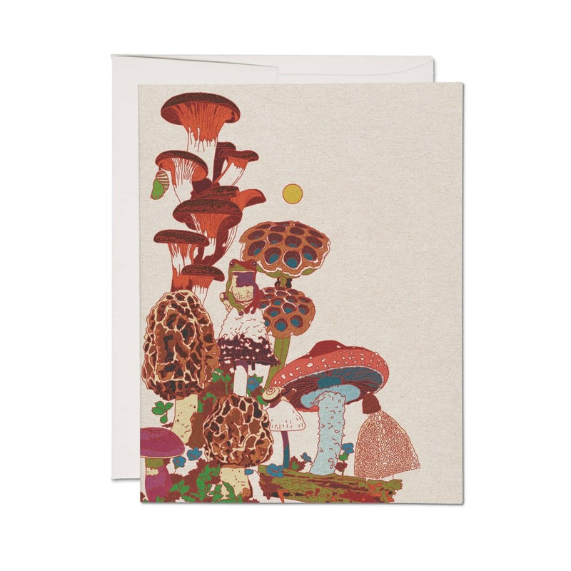 Greeting Card: Caroline Clark, Frog and Fungi - Tales for Tadpoles