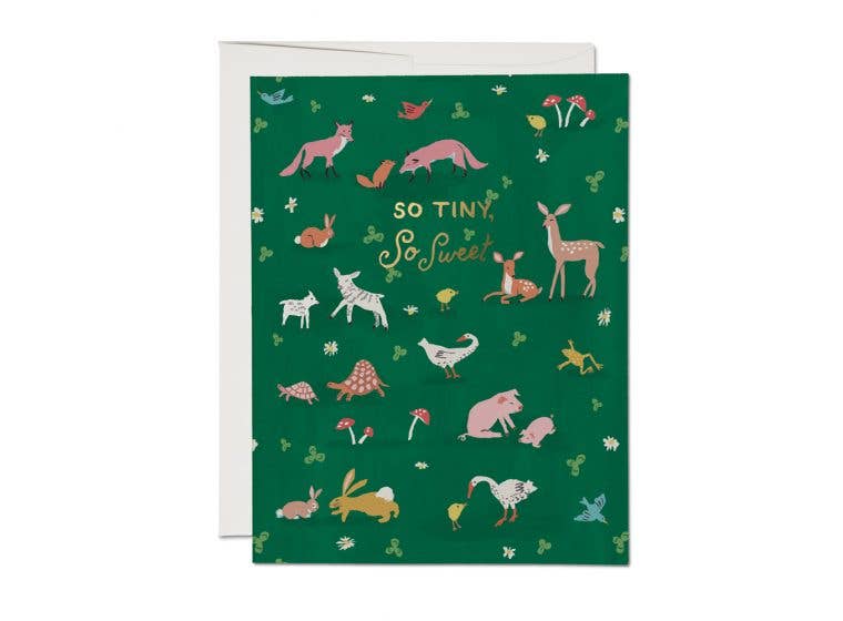 Greeting Card: Danielle Kroll, Tiny Animals - Tales for Tadpoles