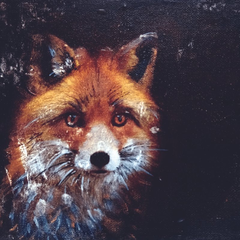 Greeting Card: Kelly Hood - Mystic Fox (Square) - Tales for Tadpoles