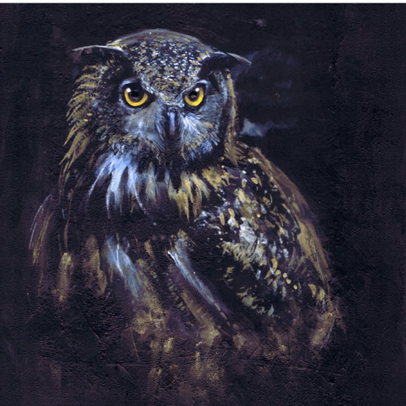 Greeting Card: Kelly Hood - Mystic Owl (Square) - Tales for Tadpoles