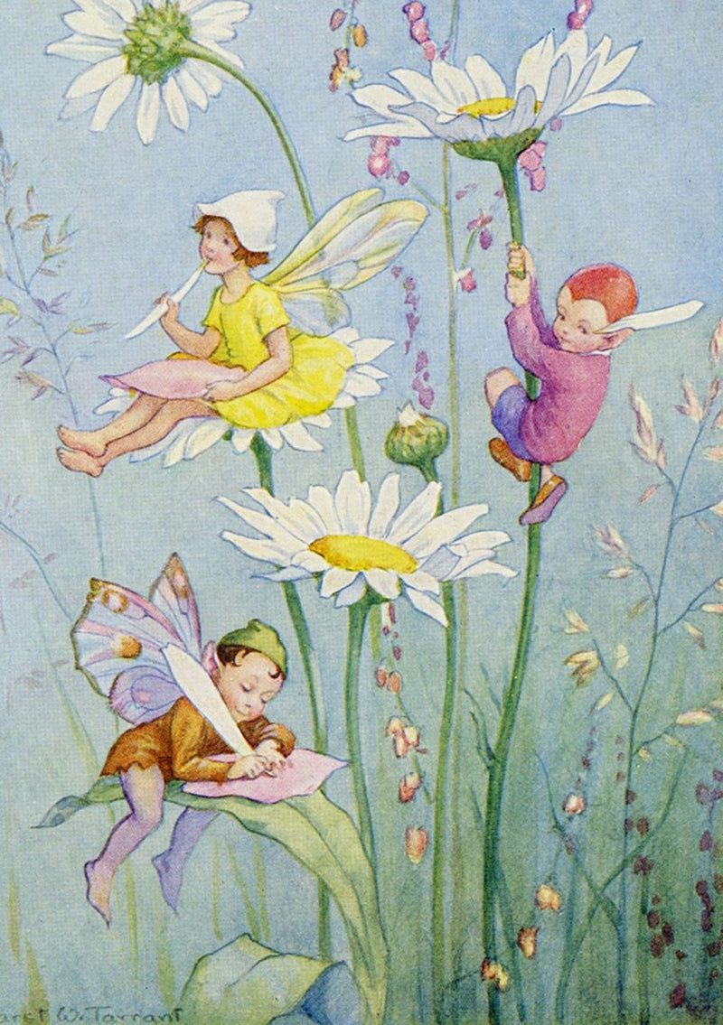 Greeting Card: Margaret Tarrant - Fairy Land with Daisies - Tales for Tadpoles