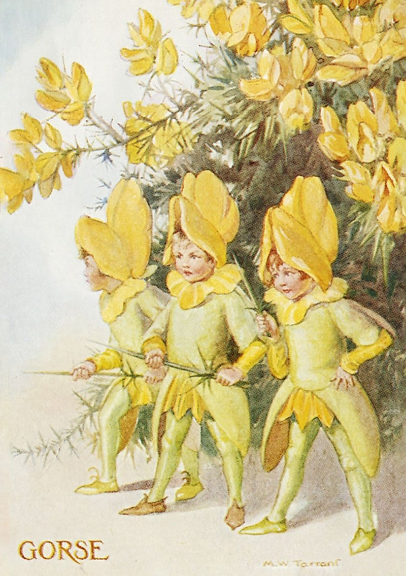 Greeting Card: Margaret Tarrant - Fairy Land with Gorse - Tales for Tadpoles