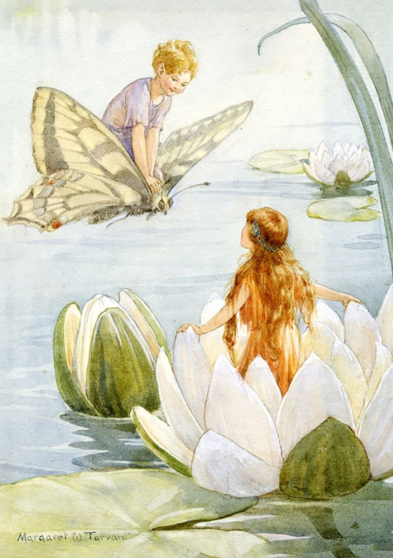 Greeting Card: Margaret Tarrant - Fairy Land with Waterlily - Tales for Tadpoles