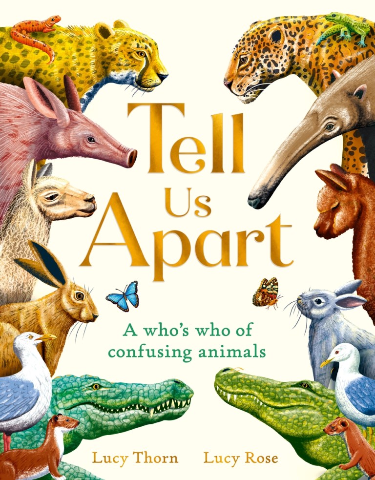 Lucy Thorn: Tell Us Apart: A Who's who of confusing Animals, illustrated by Lucy Rose