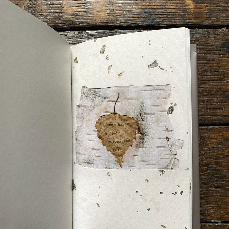 Jackie Morris Feather Leaf Bark And Stone Tales For Tadpoles jackie-morris-feather-leaf-bark-and-stone-tales-for-tadpoles