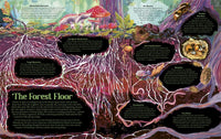 James Aldred: Under the Starlit Sky, illustrated by Good Wives and Warriors - Tales for Tadpoles