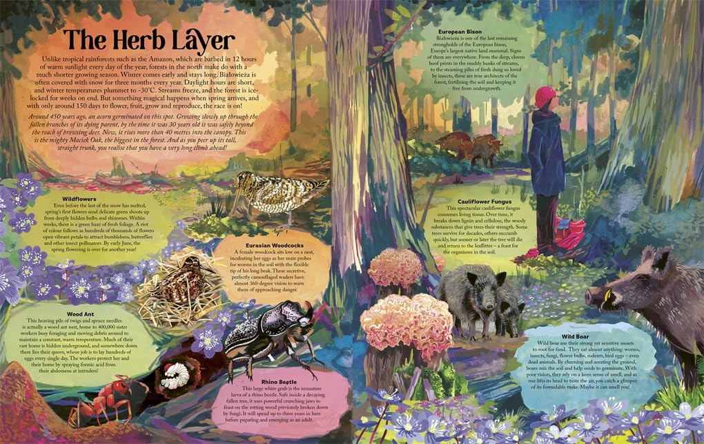 James Aldred: Under the Starlit Sky, illustrated by Good Wives and Warriors - Tales for Tadpoles