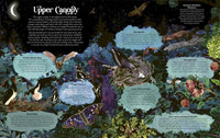 James Aldred: Under the Starlit Sky, illustrated by Good Wives and Warriors - Tales for Tadpoles
