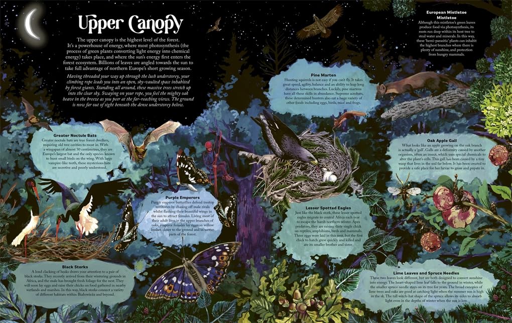 James Aldred: Under the Starlit Sky, illustrated by Good Wives and Warriors - Tales for Tadpoles