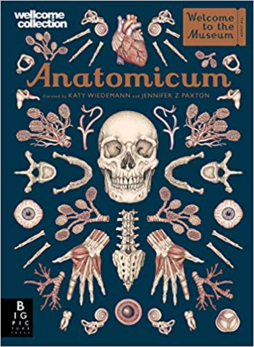 Jennifer Z Paxton: Anatomicum, illustrated by Katy Wiedemann - Tales for Tadpoles